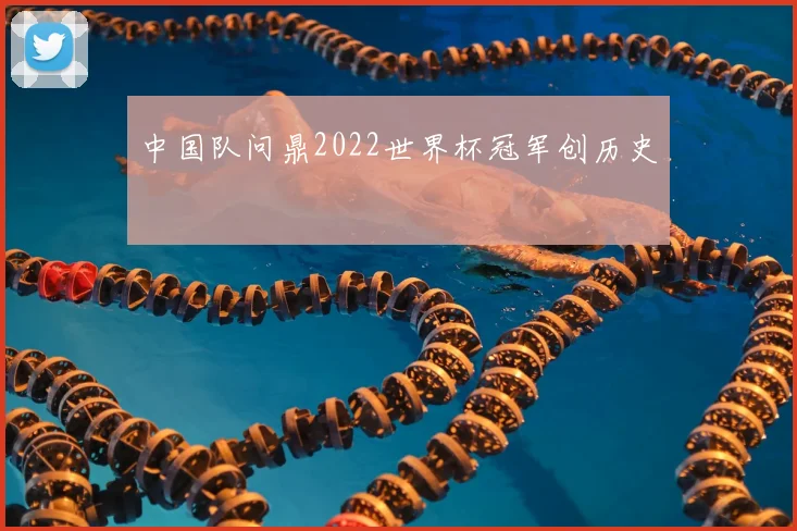 中国队问鼎2022世界杯冠军创历史