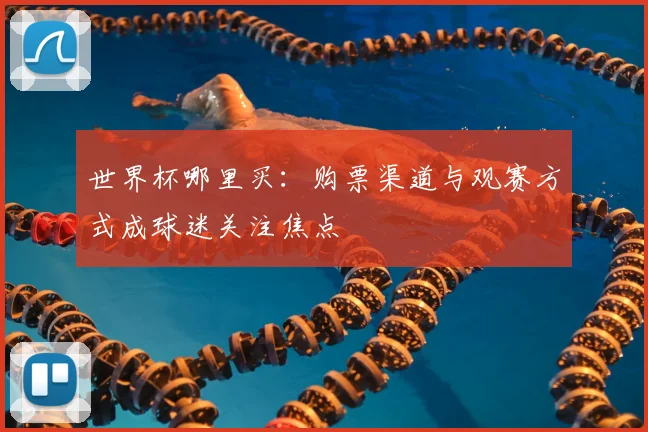 世界杯哪里买：购票渠道与观赛方式成球迷关注焦点