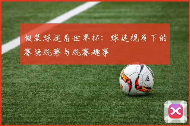 假装球迷看世界杯：球迷视角下的赛场观察与观赛趣事