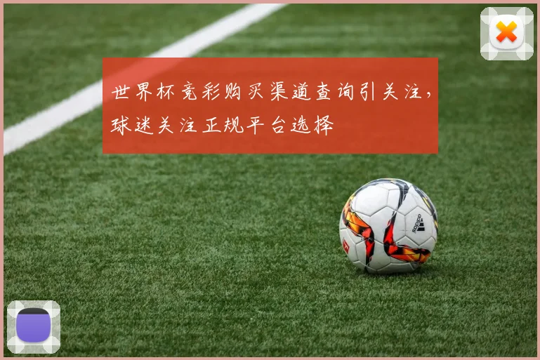 世界杯竞彩购买渠道查询引关注，球迷关注正规平台选择