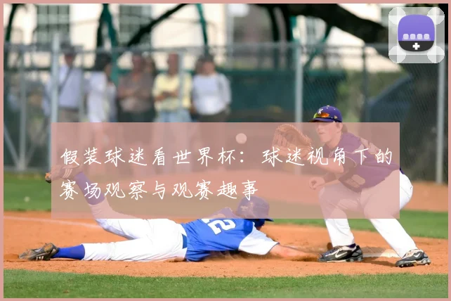 假装球迷看世界杯：球迷视角下的赛场观察与观赛趣事